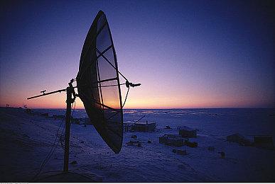 《龙珠战士Z》原本没有打算加入比迪丽这个角色